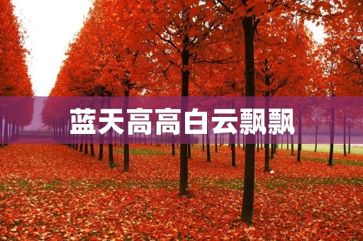 蓝天高高白云飘飘:云朵的奇妙世界 蓝天高高白云飘飘:云朵的奇妙世界