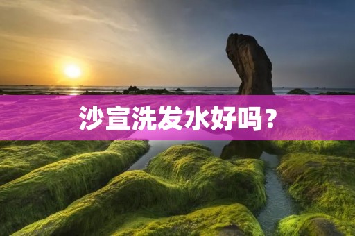 沙宣洗发水好吗? 沙宣洗发水好吗?