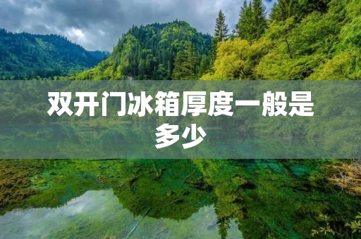 双开门冰箱厚度一般是多少