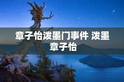 章子怡泼墨门事件 泼墨 章子怡 章子怡泼墨门事件 泼墨 章子怡