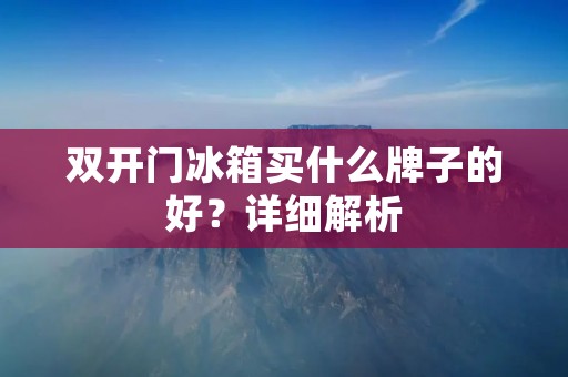 **门冰箱买什么牌子的好？详细解析