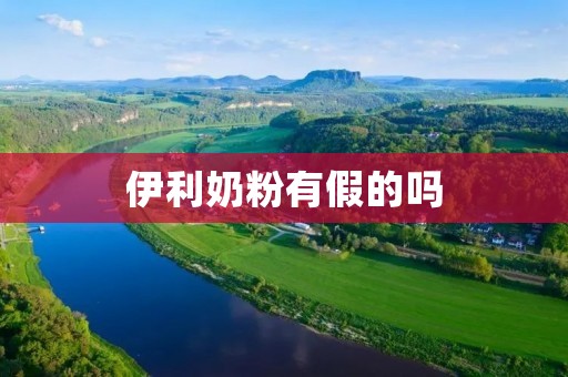 伊利奶粉有假的吗