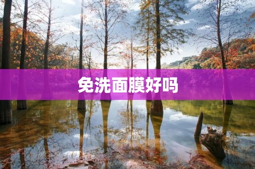 免洗面膜好吗 免洗面膜好吗