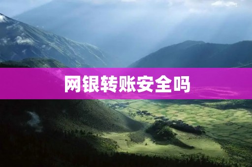 网银转账安全吗 网银转账安全吗