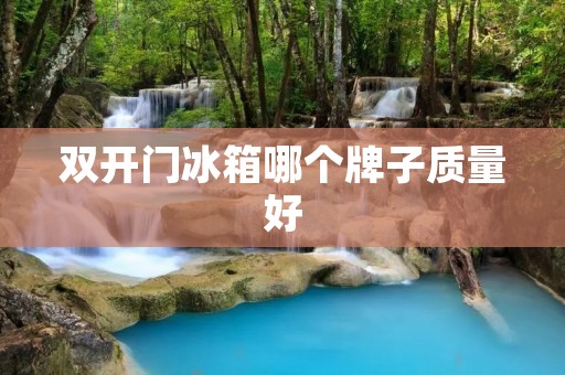 **门冰箱哪个牌子质量好