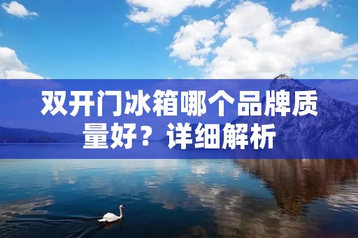 **门冰箱哪个品牌质量好?详细解析 **门冰箱哪个品牌质量好?详细解析