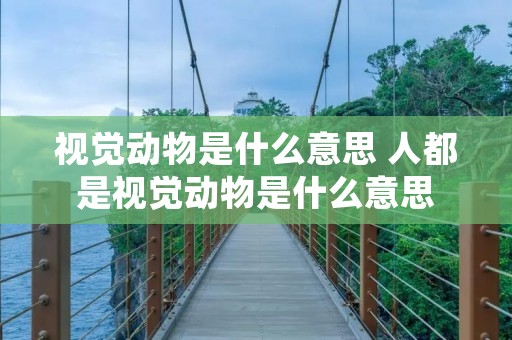 视觉动物是什么意思 人都是视觉动物是什么意思