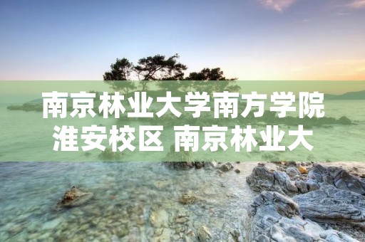 南京林业大学南方学院淮安校区 南京林业大学南方学院淮安校区招聘公示
