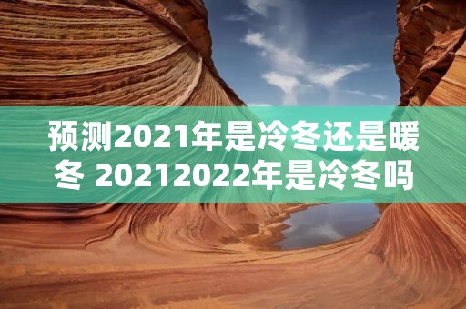 预测2021年是冷冬还是暖冬 20212022年是冷冬吗
