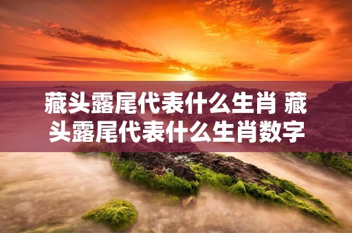 藏头露尾代表什么生肖 藏头露尾代表什么生肖数字