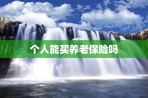 个人能买养老保险吗 个人能买养老保险吗