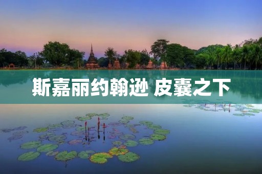斯嘉丽约翰逊 皮囊之下:探寻真实与虚幻的界限 斯嘉丽约翰逊 皮囊之下:探寻真实与虚幻的界限