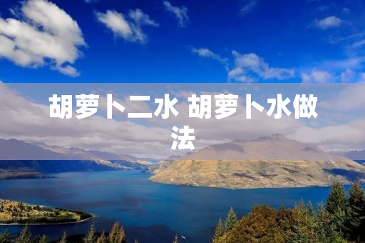 胡萝卜二水 胡萝卜水做法