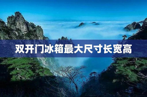 双开门冰箱最大尺寸长宽高：让你的食材保鲜无忧
