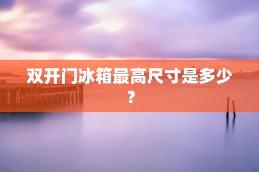 **门冰箱最高尺寸是多少？