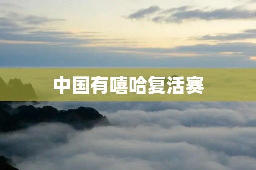 中国有嘻哈复活赛:热血激荡的音乐征程 中国有嘻哈复活赛:热血激荡的音乐征程
