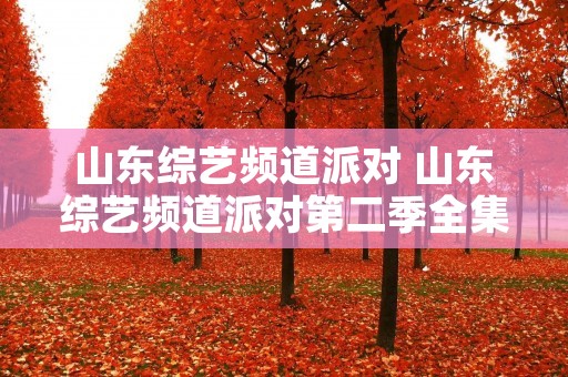 山东综艺频道派对 山东综艺频道派对第二季全集