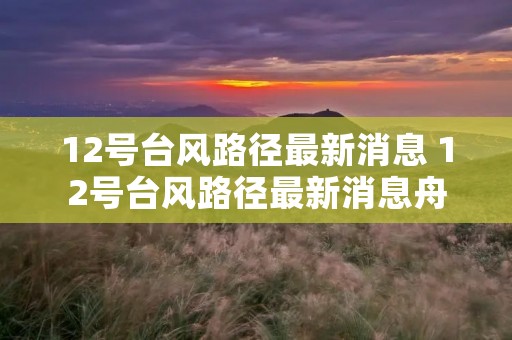 12号台风路径最新消息 12号台风路径最新消息舟山 12号台风路径最新消息 12号台风路径最新消息舟山