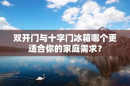 **门与十字门冰箱哪个更适合你的家庭需求? **门与十字门冰箱哪个更适合你的家庭需求?