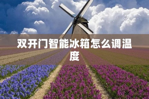 **门智能冰箱怎么调温度 **门智能冰箱怎么调温度