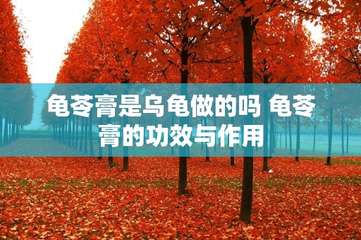 龟苓膏是乌龟做的吗 龟苓膏的功效与作用 龟苓膏是乌龟做的吗 龟苓膏的功效与作用