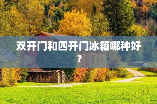 **门和四开门冰箱哪种好? **门和四开门冰箱哪种好?