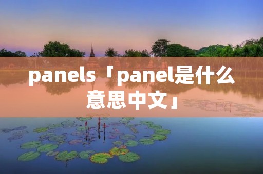 panels「panel是什么意思中文」