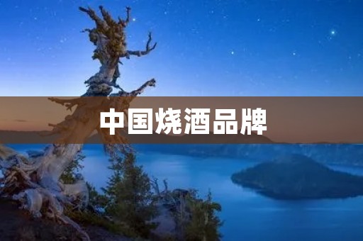 中国烧酒品牌：传承百年的醇香之道