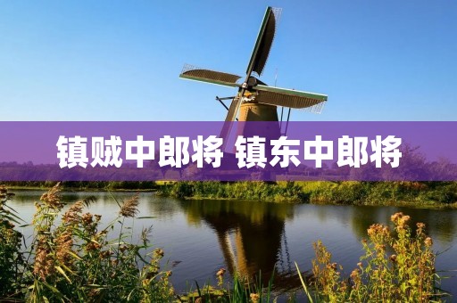 镇贼中郎将 镇东中郎将