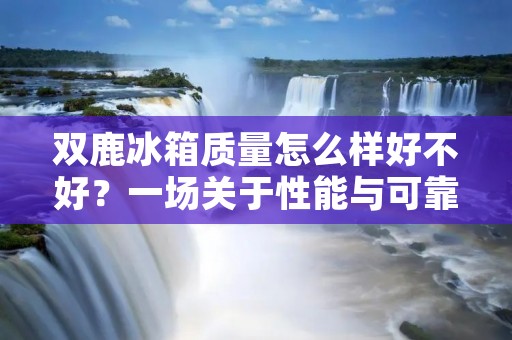 双鹿冰箱质量怎么样好不好？一场关于性能与可靠性的深度探究