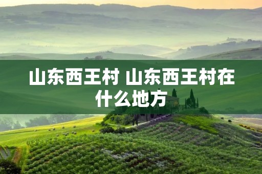 山东西王村 山东西王村在什么地方