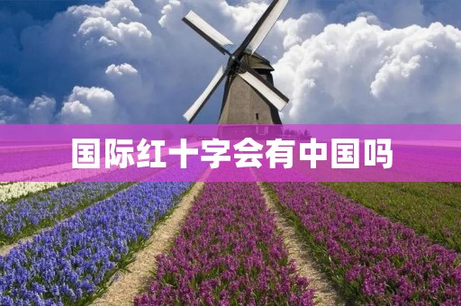 国际红十字会有中国吗