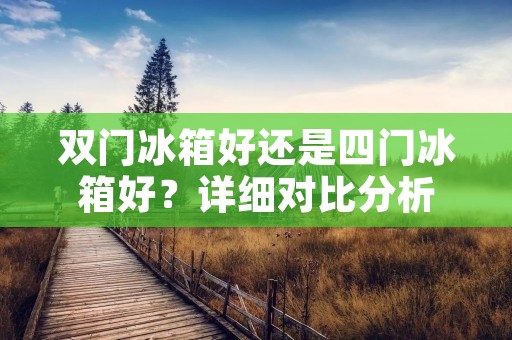 双门冰箱好还是四门冰箱好?详细对比分析 双门冰箱好还是四门冰箱好?详细对比分析