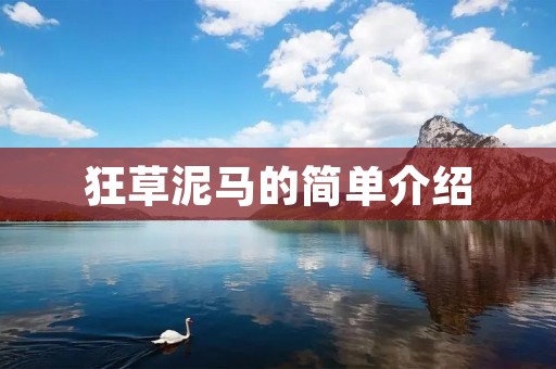 狂草泥马的简单介绍