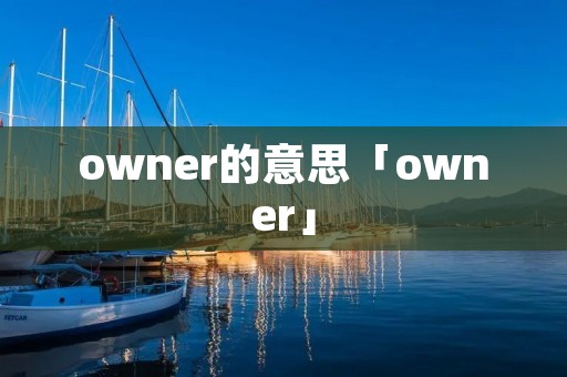 owner的意思「owner」
