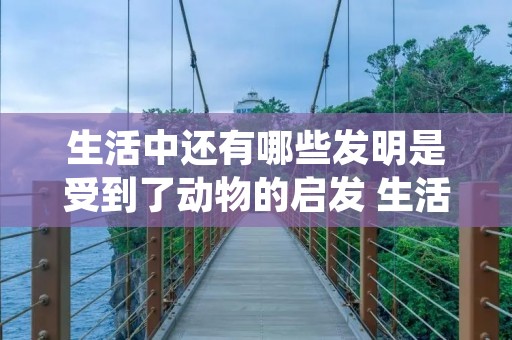 生活中还有哪些发明是受到了动物的启发 生活中还有哪些发明是受到了动物的启示? 生活中还有哪些发明是受到了动物的启发 生活中还有哪些发明是受到了动物的启示?