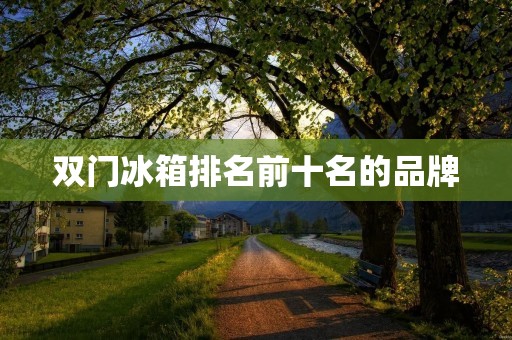 双门冰箱排名前十名的品牌:为您推荐市场上最值得关注的品牌 双门冰箱排名前十名的品牌:为您推荐市场上最值得关注的品牌