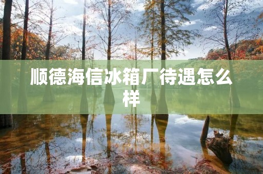 顺德海信冰箱厂待遇怎么样