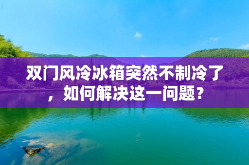 双门风冷冰箱突然不制冷了,如何解决这一问题? 双门风冷冰箱突然不制冷了,如何解决这一问题?