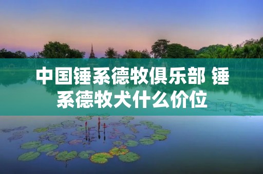 中国锤系德牧俱乐部 锤系德牧犬什么价位