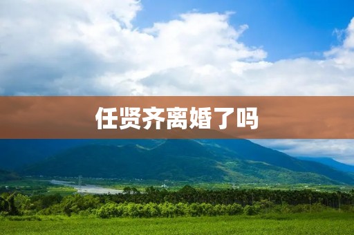 任贤齐离婚了吗