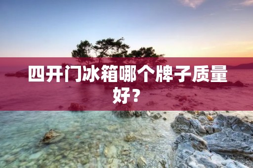 四开门冰箱哪个牌子质量好？