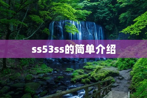 ss53ss的简单介绍 ss53ss的简单介绍