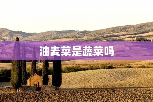 油麦菜是蔬菜吗