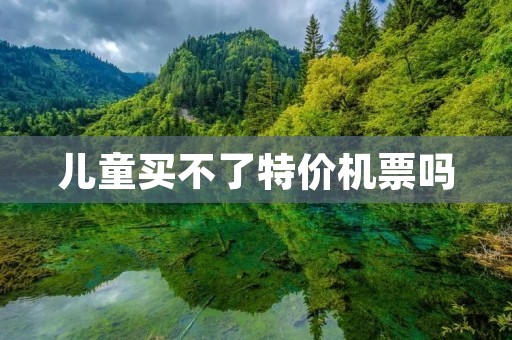 儿童买不了特价机票吗 儿童买不了特价机票吗