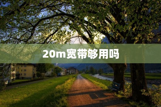 20m宽带够用吗 20m宽带够用吗