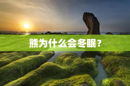 熊为什么会冬眠？