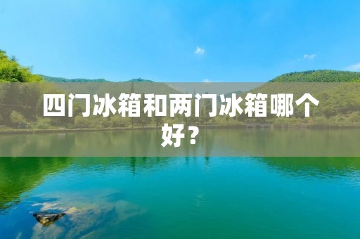 四门冰箱和两门冰箱哪个好? 四门冰箱和两门冰箱哪个好?