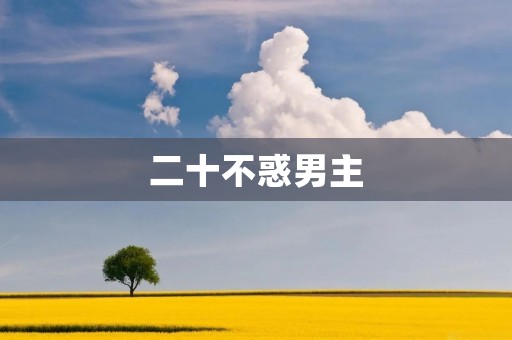 二十不惑男主：探寻青春迷茫中的成长之路