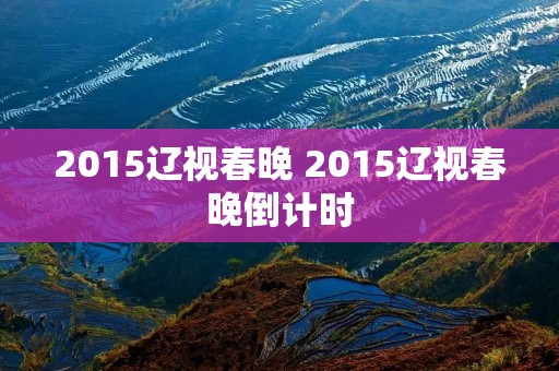 2015辽视春晚 2015辽视春晚倒计时